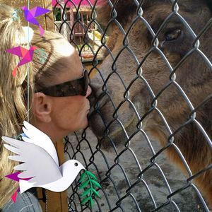 Meet your Posher, Wegmann